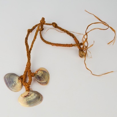 A Pacific Shell