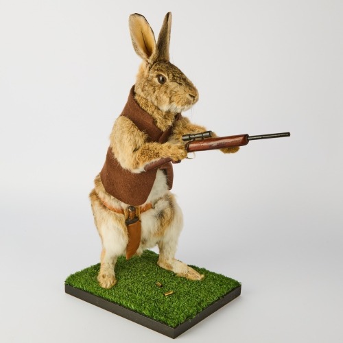 A Taxidermy Rabbit with the theme "it ain't no fun when the Rabbits got the gun"