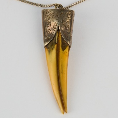 A Sterling Silver Mounted Male Huia Beak Pendant