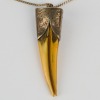 A Sterling Silver Mounted Male Huia Beak Pendant