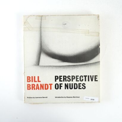 Perspectives of Nudes