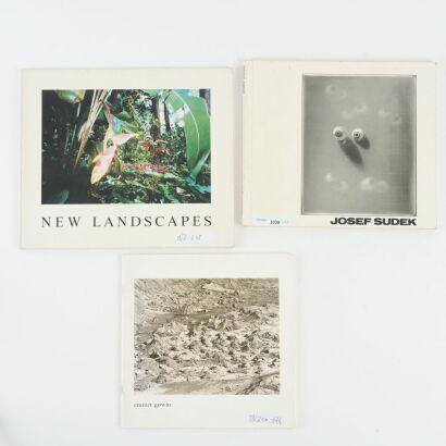 Vision & Landscape: Three Important Works on Josef Sudek, Emmet Gowin & New Landscape Photography
