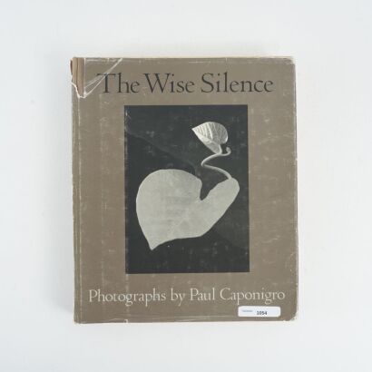 The Wise Silence: Photographs by Paul Caponigro