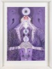 BRENDON WILKINSON Apples of Apollo - 2