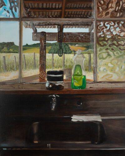 HIRIA ANDERSON-MITA A View from the Redshed, Waitomo