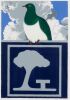 ROBIN WHITE Kereru
