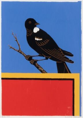 ROBIN WHITE Tui