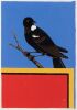 ROBIN WHITE Tui
