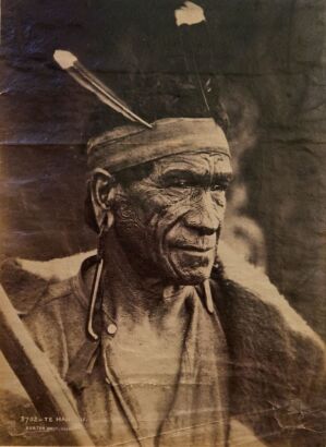 BURTON BROTHERS Te Hauhau, Te Kuiti, King Country