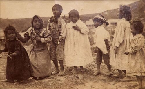 CHARLES SPENCER A Haka for Penny [135 C. Spencer].
