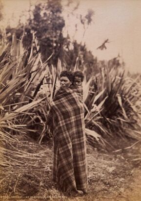 BURTON BROTHERS Ngahui - At Papakai - King Country