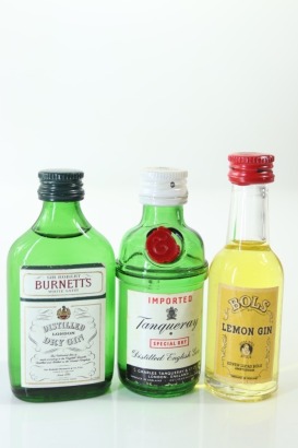 (1) Mixed Gin Miniatures, 3 Bottles Sold as One Lot
