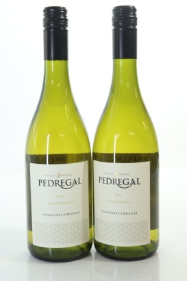 (2) 2022 Antigua Bodega Stagnari Del Pedregal Chardonnay, Uruguay