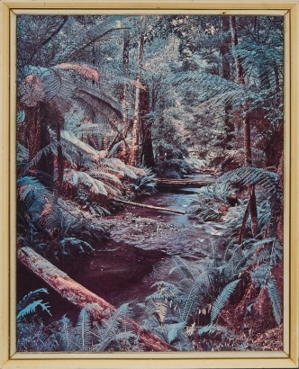 A Vintage Mercury Woodcrafts Nz Ferntree Glen Photographic Print