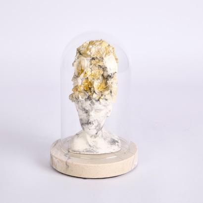 A woman's Bust displayed in Glass Cloche