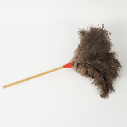 A Vintage Feather Duster