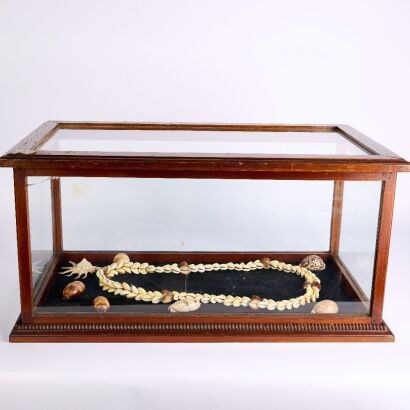 An Antique Mahogany Museum Display Case