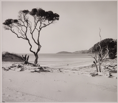 JENNER ZIMMERMANN Above Pakiri Beach