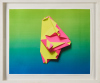 JUDY DARRAGH untitled - 2