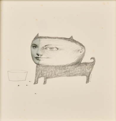 ROBIN GIBSON Robsin