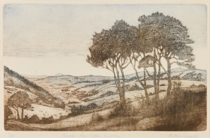 HEATHER MAXWELL Dunedin from Upper Junction