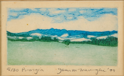 JOAN TRAVAGLIA Pirongia