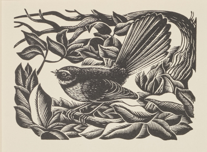 E. MERVYN TAYLOR Fantail