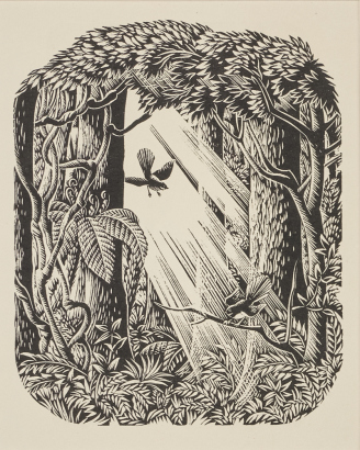 E. MERVYN TAYLOR Beech Forest