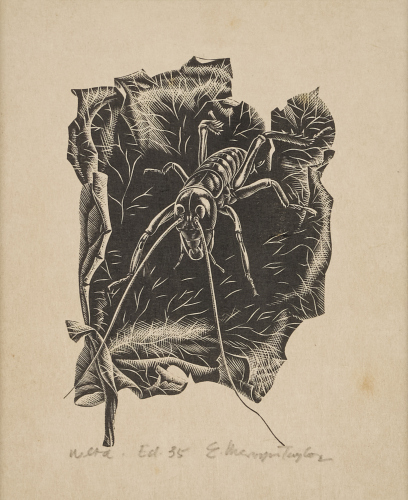 E. MERVYN TAYLOR Weta