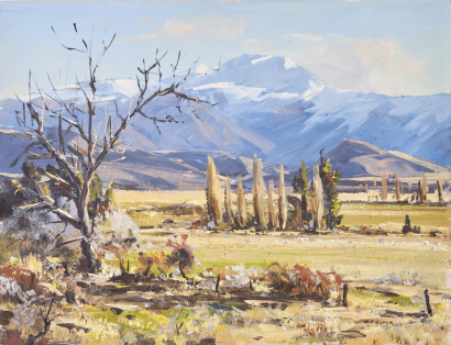 MF SOPER South Island Landscape
