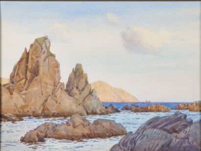 NUGENT WELCH Wellington South Coast