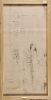 JEANNIE MILLS PWERLE Anaty-Wild Yam - 2