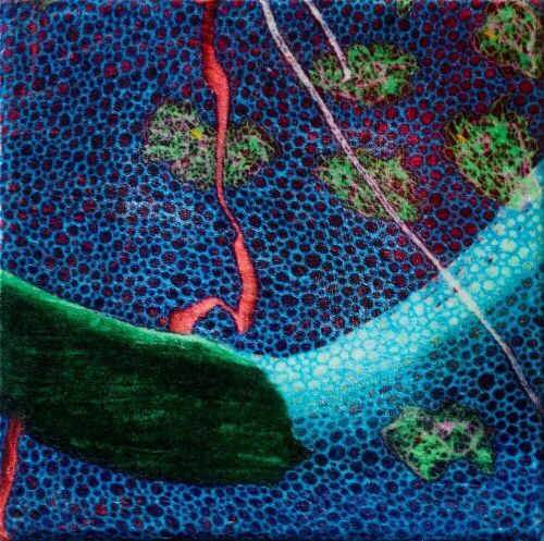 EVAN WOODRUFFE untitled (from The World is Porous series)