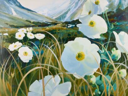 ROBERT MCDOWELL Mount Cook Lilies