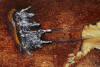 EMMA BASS Group of three unframed photographs (Scrapyard Series) - 2