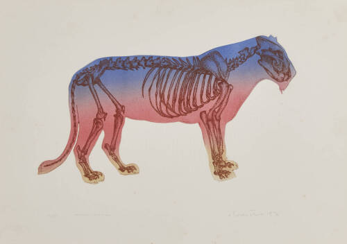 BARRY CLEAVIN Paper Fossil