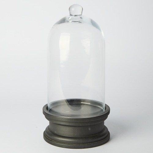 A Bell Jar with Stand