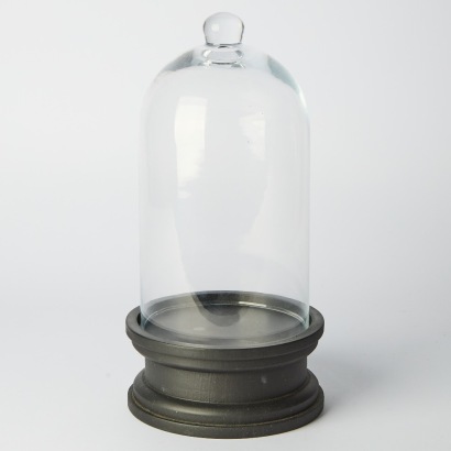 A Bell Jar with Stand