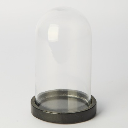 A Glass Bell Jar