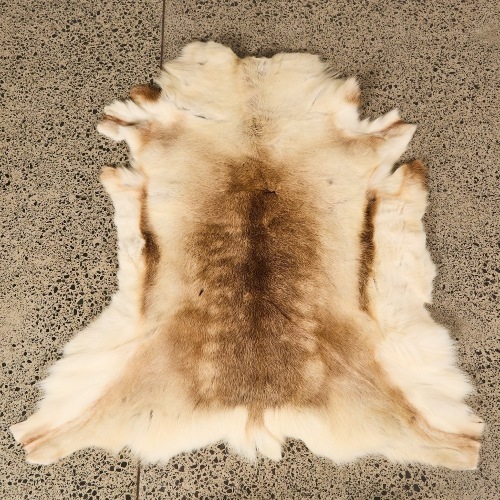 A Large Reindeer Rug Throw