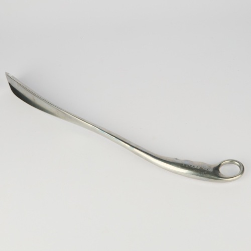 A Long-Handled Shoe Horn by Dewahsing Design