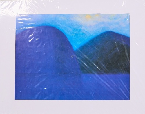 A Lois McIvor Coromandel III Print