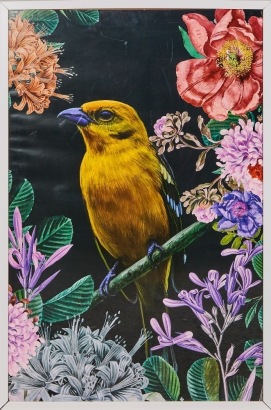 A Flox-Style Goldfinch Art Print