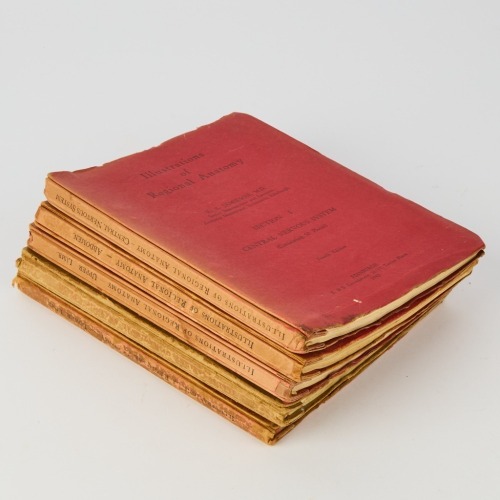 A Set of Illustrations of Regional Anatomy, 1950s