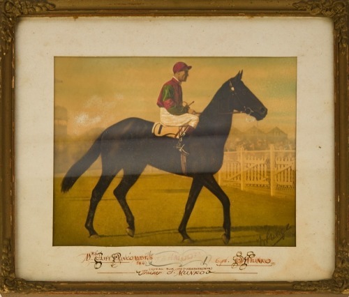 A Painting of the Racehorse Tahmoor