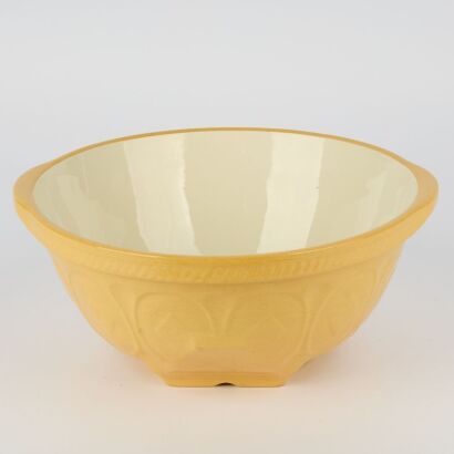 An Antique TG Green & Co Gripstand Mixing Bowl Made in England