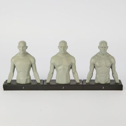 A Set of Three Male Anatomy Artists Reference Busts Sculpted by Andrew Cawrse