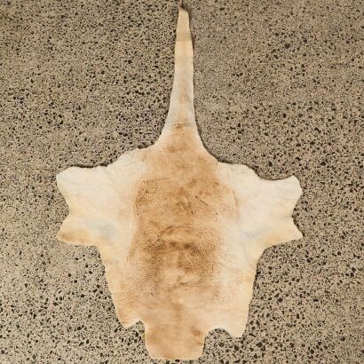 A Vintage Kangaroo Skin Rug