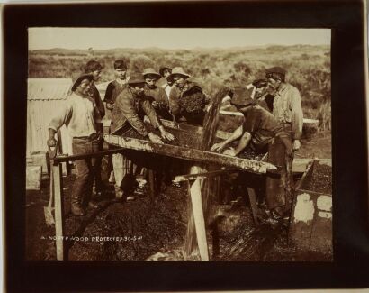 ARTHUR NORTHWOOD Group of Gum Diggers, Northland