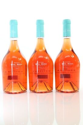 (3) 2019 Celler Dosterras Sta. Rosa Rose, Spain